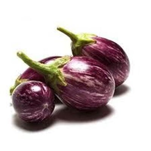 Eggplant Stripe