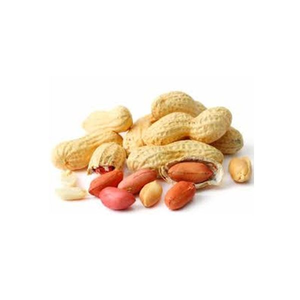 Ground Nut With Shell