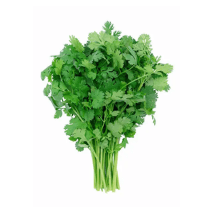 Coriander Big Bunch Each